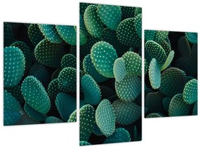 Obraz - Opuncie (90x60 cm)