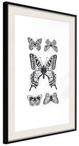 Artgeist Plagát - Five Butterflies [Poster] Veľkosť: 30x45, Verzia: Čierny rám s passe-partout
