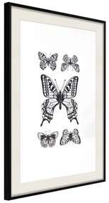 Artgeist Plagát - Five Butterflies [Poster] Veľkosť: 30x45, Verzia: Zlatý rám s passe-partout