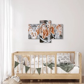 Obraz - Zamrznuté listy (90x60 cm)