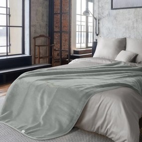 AKRYLOVÁ DEKA PIERRE CARDIN CLARA1 160X220 CM STRIEBORNÁ