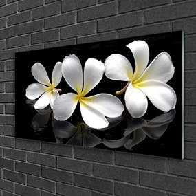 Obraz na skle Kvety rastlina 120x60 cm