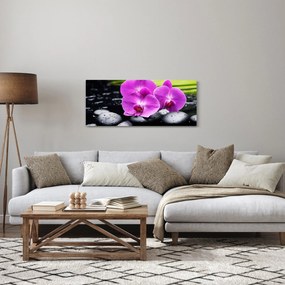 Obraz - Orchidey (120x50 cm)