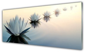 Obraz plexi Vodné lilie biely lekno 125x50 cm