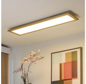 Brilagi - LED Stropné svietidlo SLIMFRAME WOOD LED/58W/230V 124x34 cm hnedá