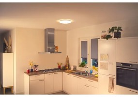 WiZ - LED Stmievateľné stropné svietidlo SUPERSLIM LED/17W/230V 2700K Wi-Fi