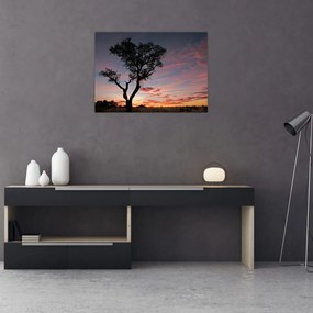 Obraz - Strom a červánky (70x50 cm)