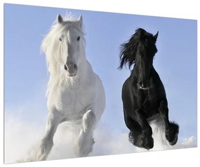 Obraz koní (90x60 cm)