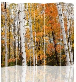 Ozdobný paraván, Březový les na podzim - 180x170 cm, päťdielny, klasický paraván