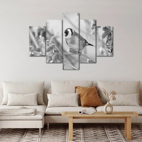Obraz - Vtáčik v zime (150x105 cm)