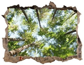 Díra 3D ve zdi na stěnu Horná vetvy stromu nd-k-119047799