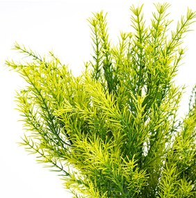 Umelý zväzok Asparagus, 53 cm