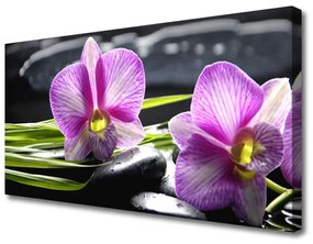 Obraz Canvas Orchidea kamene zen kúpele 140x70 cm