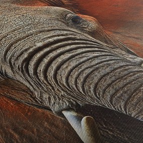 Obraz - Slony z Tsavo (120x50 cm)