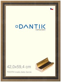 DANTIK rám na obraz 42x59,4 | TOOTH malá zlato černá (Plexi Čiré)