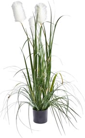 XXXLutz UMELÁ RASTLINA 120 cm Ambia Home - Kvety & kvetináče - 003953001602