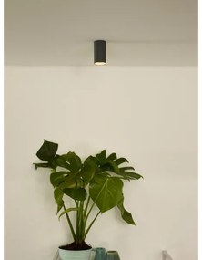 Lucide 09915/06/36 - LED Stmievateľné bodové svietidlo DELTO 1xGU10/5W/230V šedá