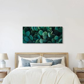 Obraz - Opuncie (120x50 cm)
