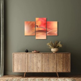 Obraz kvetinové kvapky rosy (90x60 cm)