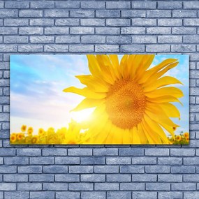 Obraz plexi Slnečnica kvet slnko 120x60 cm