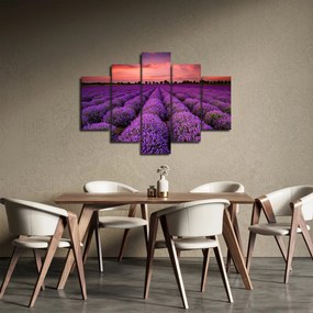 Obraz - Levanduľové pole (150x105 cm)
