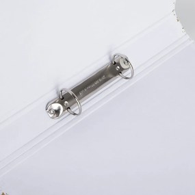 Kartónový organizér na dokumenty Ringo – Bigso Box of Sweden