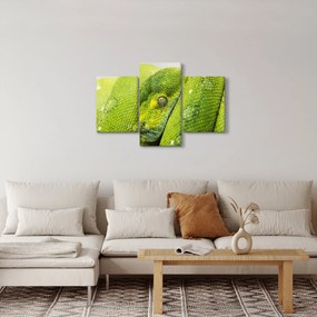 Obraz hada (90x60 cm)