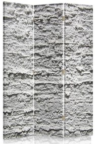 Gario Paraván Sivá omietka Rozmery: 110 x 170 cm, Prevedenie: Klasický paraván