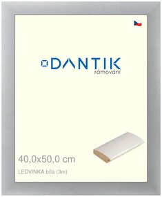 DANTIK rám na obraz 40x50 | LEDVINKA bílá (Sklo Čiré)
