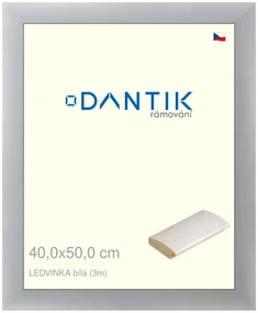 DANTIK rám na obraz 40x50 | LEDVINKA bílá (Sklo Čiré)