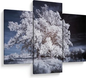 Obraz - Snehobiely strom (90x60 cm)