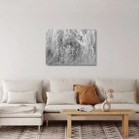 Sklenený obraz - Divoká lúka (70x50 cm)