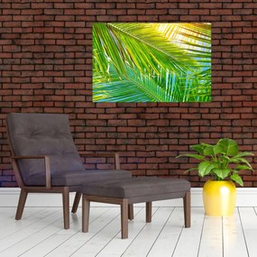 Obraz - Palmové listy (90x60 cm)