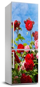 Foto nálepka na chladničku stenu Divoká ruža FridgeStick-70x190-f-104021490