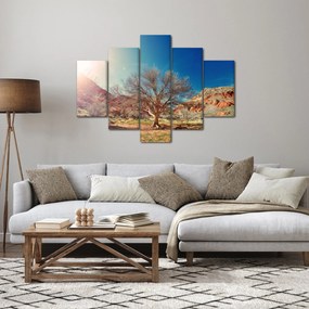 Obraz stromu v púšti (150x105 cm)