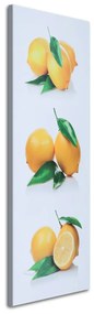 Obraz na plátně Ovoce citronu - 40x120 cm