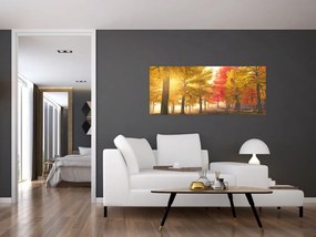 Obraz jesenných stromov (120x50 cm)