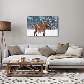 Obraz Jeleňa s laňou (90x60 cm)