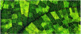 Obraz - Detail hárku (120x50 cm)