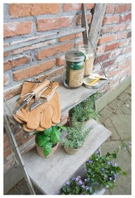 Sada malej presádzacej lopatky a kultivátora Esschert Design