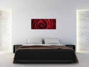 Obraz - Červená ruža s kvapkami rosy (120x50 cm)