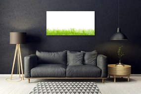 Obraz plexi Tráva rastlina príroda 100x50 cm