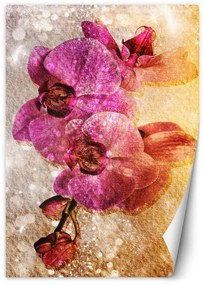 Fototapeta, Fialové orchideje - 100x140 cm