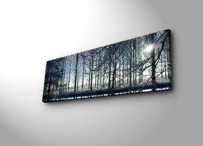 Maľba s LED osvetlením ZIMNÁ KRAJINA 37 30 x 90 cm