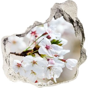 Samolepiaca diera na stenu Čerešňové kvety nd-p-100965392