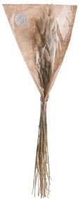 Butlers FLOWER MARKET Lagurus tráva sušená 70 cm