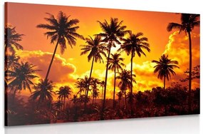 Obraz kokosové palmy na pláži - 120x80