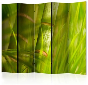 Artgeist Paraván - bamboo - nature zen [Room Dividers]