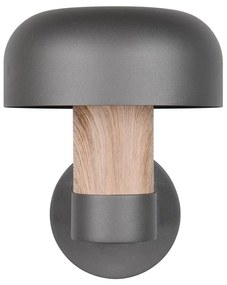 Nástenné vonkajšie svietidlo (výška 24,5 cm) Fraser – Trio