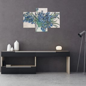 Obraz - Vincent van Gogh, Irises, reprodukcia (90x60 cm)